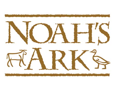 Noah's Ark Model Kit